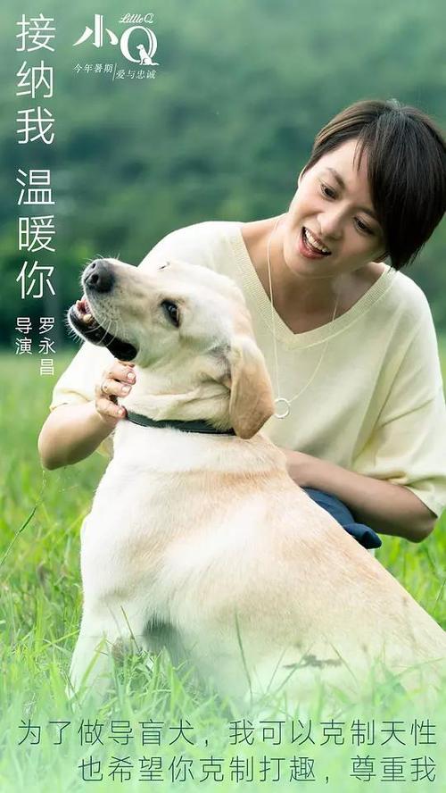 哪里能办理瓦尔登大学文凭毕业证